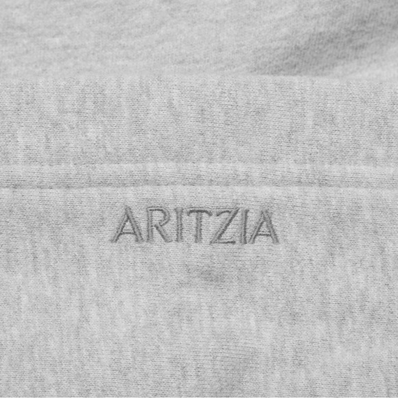 Aritzia Cozy Sweatfleece Mega Raglan Hoodie - Picture 4 of 8